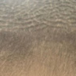 Meet your Posher, Amina